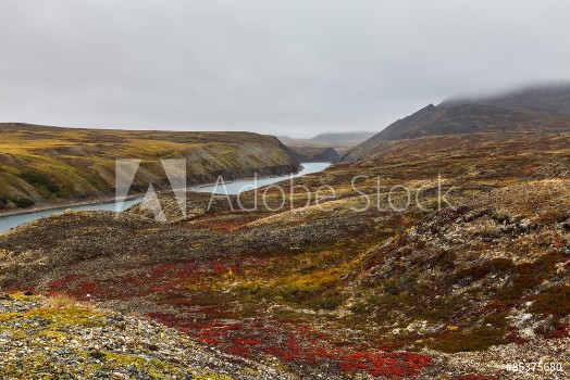 Bild på autumn tundra in fog and river Amguema Arctic Circle Russia